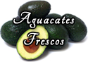 Aguacates Frescos